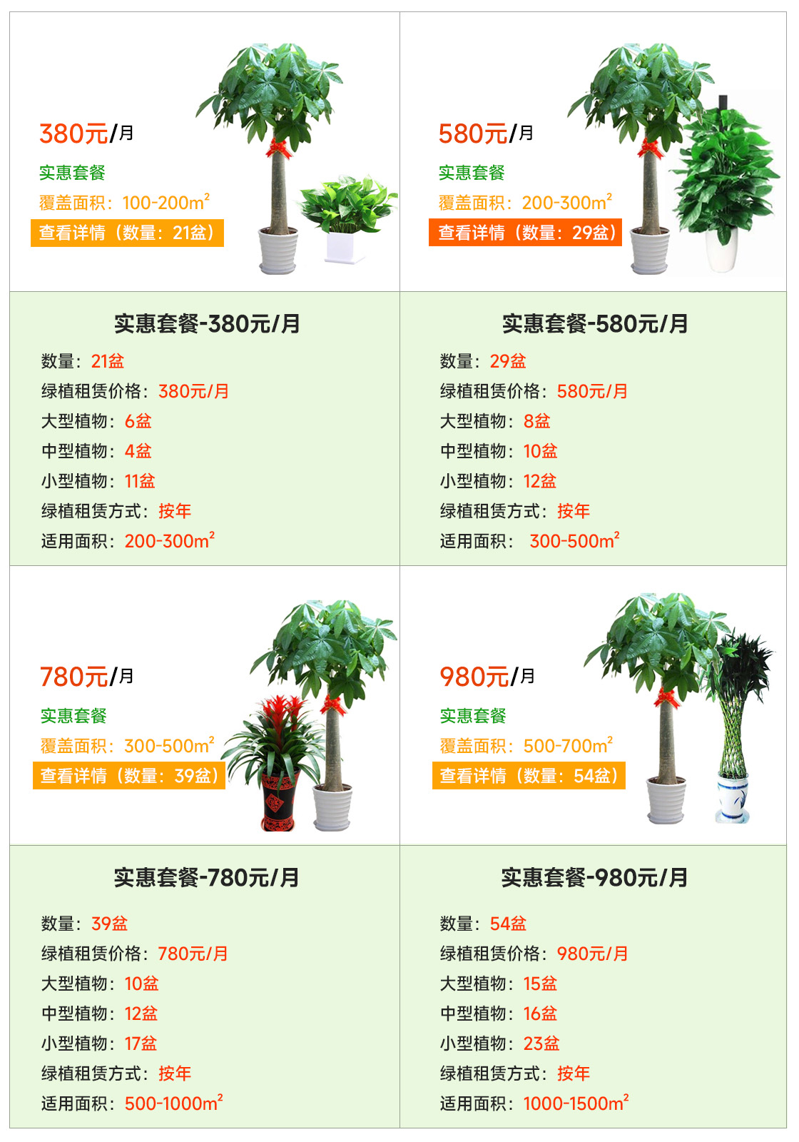 綠植租賃預(yù)算