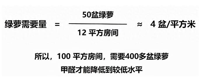 公司用綠蘿除甲醛，到底靠不靠譜？